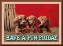 Have A Fun Friday