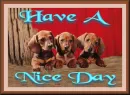 Have A Nice Day