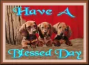 Have A Blessed Day