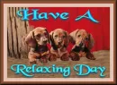 Have A Relaxing Day