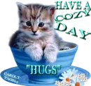 Have A Cozy Day