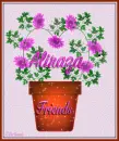 Aliraza