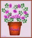 Cathi