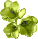 flor