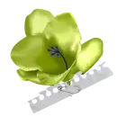 flor
