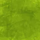 fundos