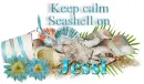 Shell on- Jessi
