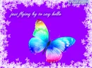 flying by to say hello