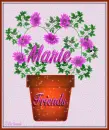 Marie