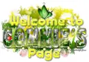 Connie-Daisies Welcome