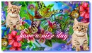 have a nice day