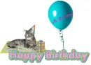 Ashley Happy Birthday Cat