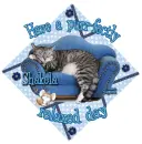 Purr-fectly Relaxed ~ Shakela