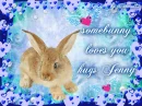 some bunny loves you hugs jenny