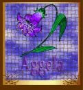 Aggela