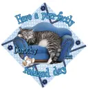 Purr-fectly Relaxed ~ Dorothy