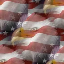 American Eagle and flag seamless background