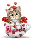 Kitty In A Cup ~ Shakela
