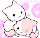 Cute Cats