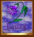 Laura