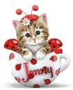 Kitty In A Cup ~ Jenny