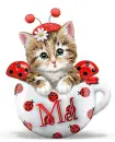 Kitty In A Cup ~ Mel