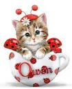 Kitty In A Cup ~ Owen