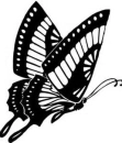 Black Butterfly