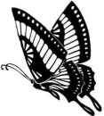 Black Butterfly