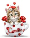 Kitty In A Cup ~ Connie