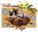 Welcome To My Page