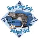 Purr-fectly Relaxed ~ Owen