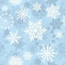 Snowflakes Background/Winter