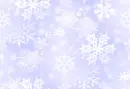 Lilac Starry/Winter Snowflakes