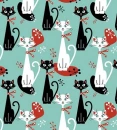 White And Black Cats