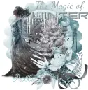 The magic of winter/Robbie