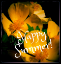 Bright summer flower