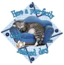 Purr-fectly Relaxed ~ Carol