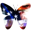 American Butterfly