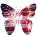 American Butterfly