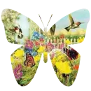 Nature Butterfly