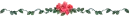 rose divider
