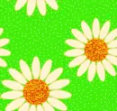 daisy seamless background