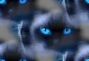 siamese cat seamless background