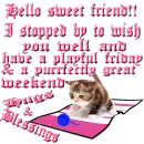 Have a  playful friday &  purrfectly great weekend