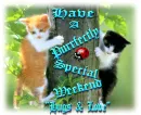 Have a purrfectly special weekend