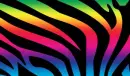 Rainbow Stripes