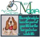 R I P ~ Mocha (Jessi)