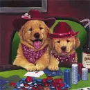 Poker Playing Dogs