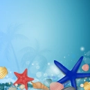 Seashells